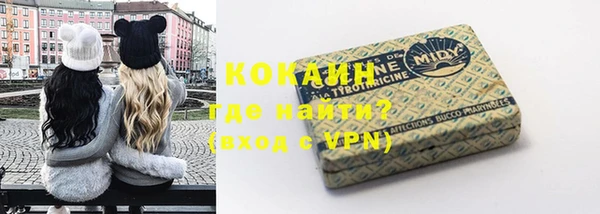 гашик Аркадак