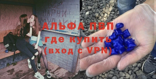 гашик Аркадак
